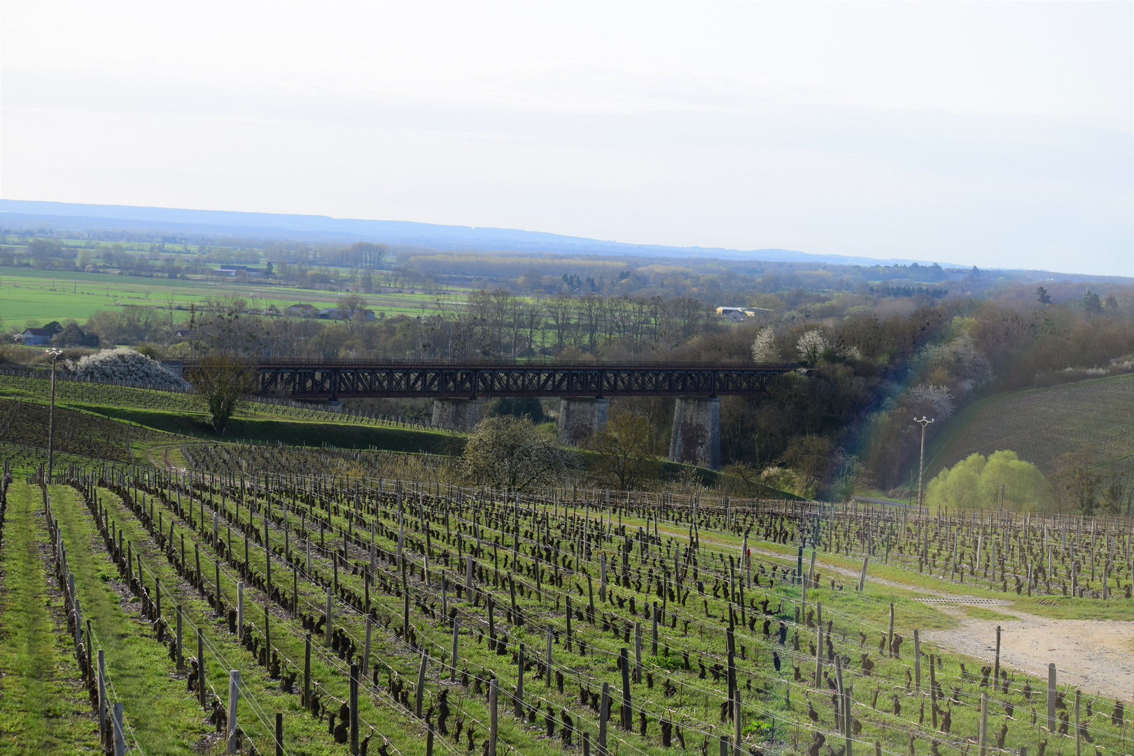  Sancerre 