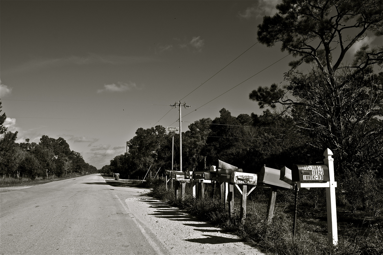 sanctuary road