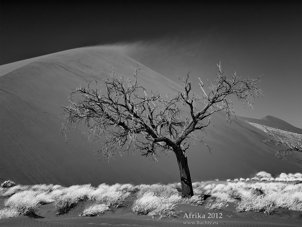 Sand...