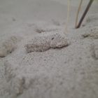 Sand