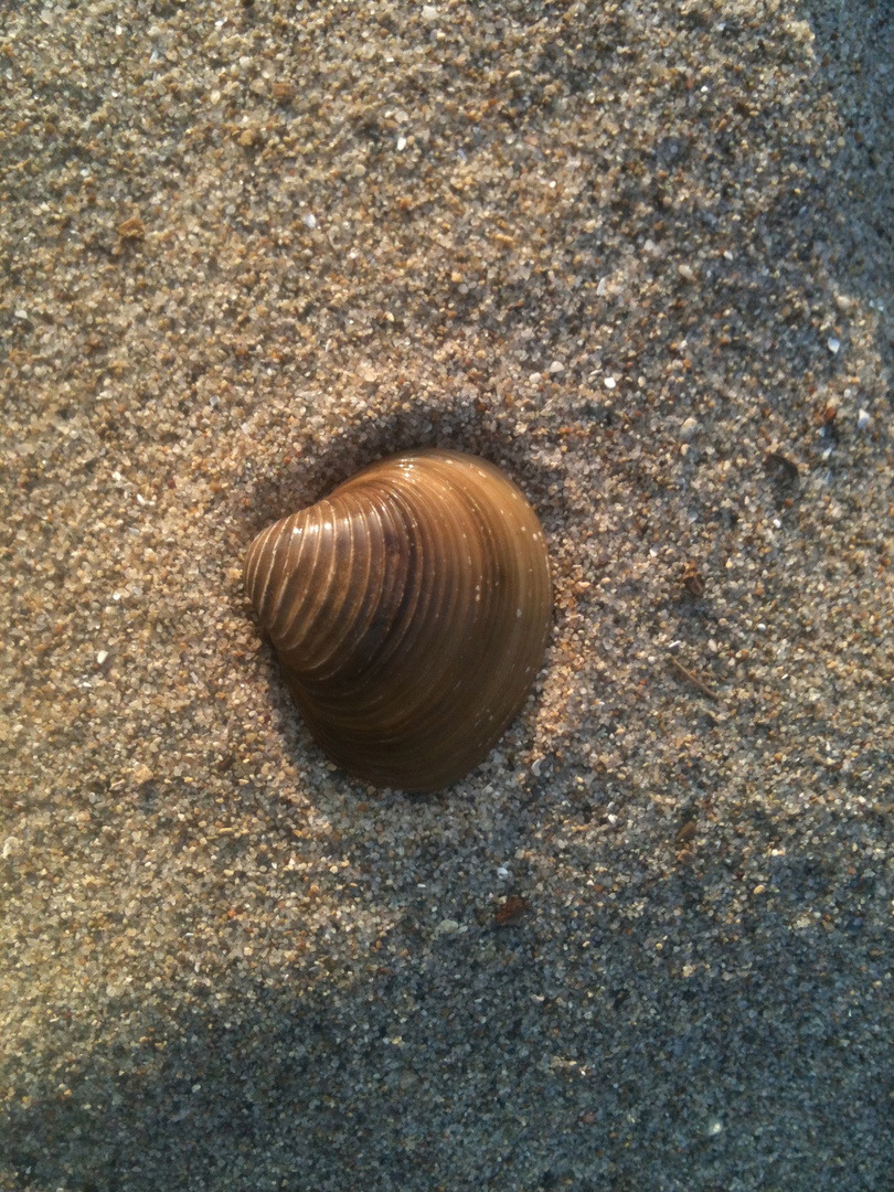 Sand am Bodensee