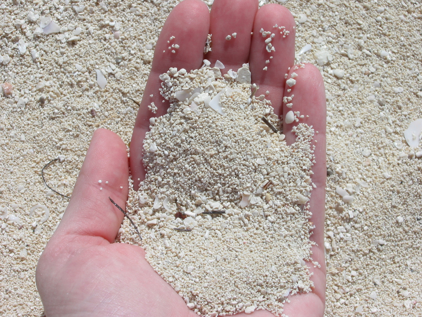 Sand am perfekten Strand auf Kuba