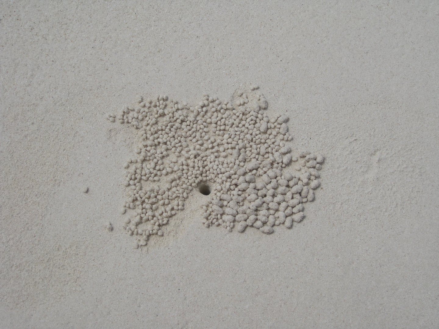 sand "art"