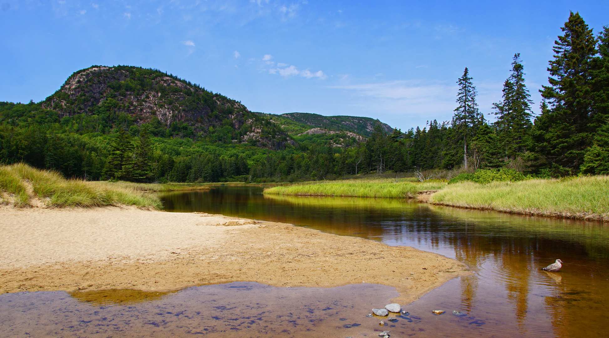 sand beach