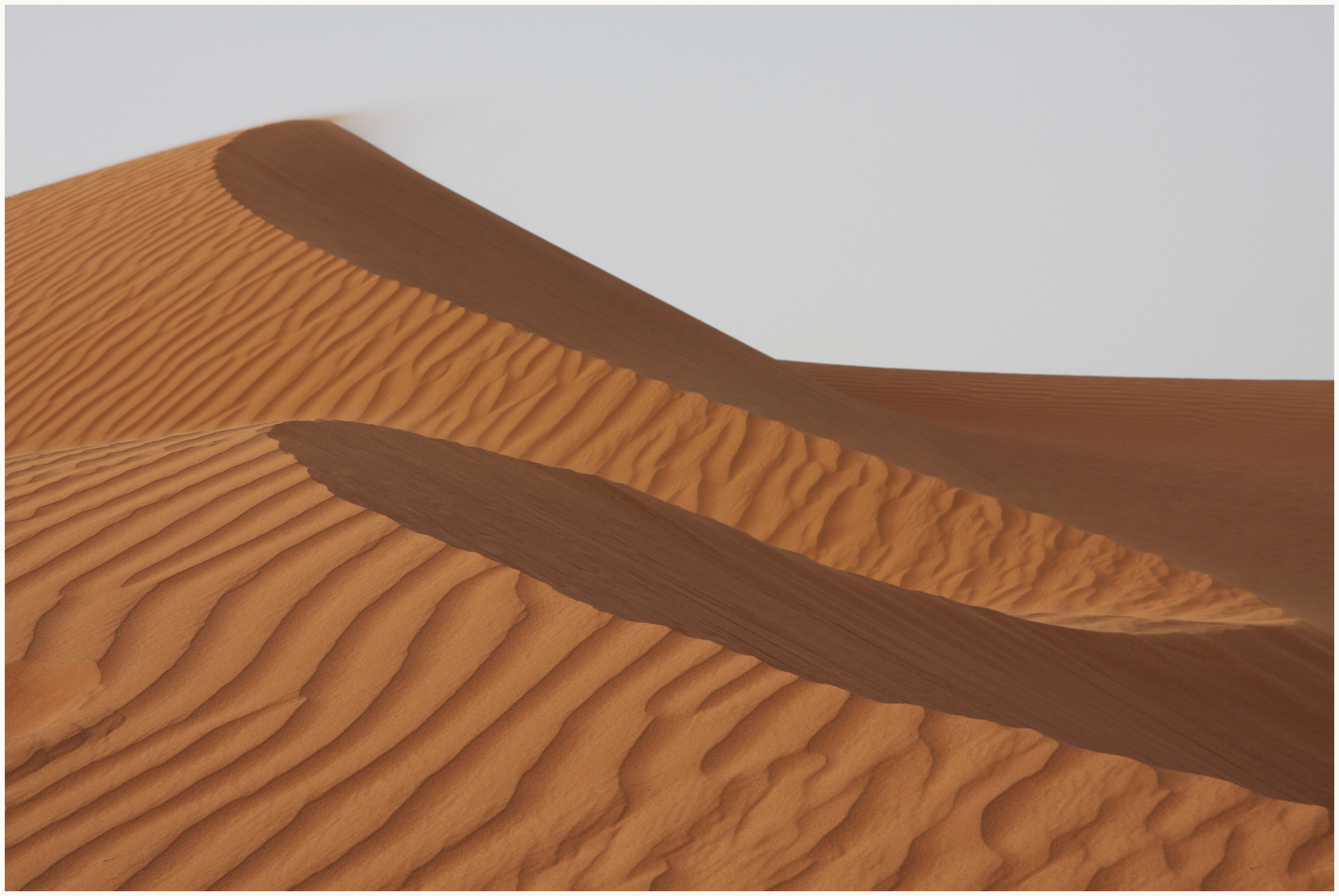 Sand beauty of the Desert