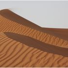 Sand beauty of the Desert