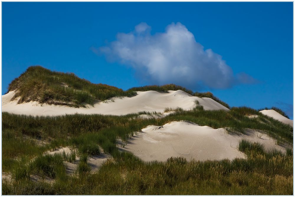 Sand - Dünen - Gras und Wolke... 