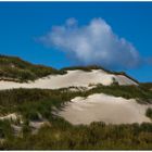 Sand - Dünen - Gras und Wolke... 