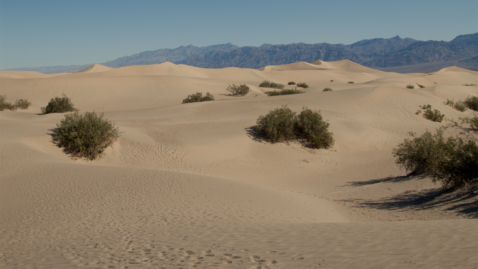 Sand Dune / Death Valley