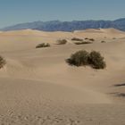 Sand Dune / Death Valley