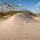 Sand Dune