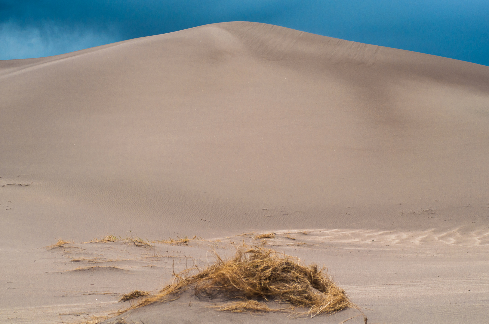 Sand Dune with Straw