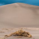 Sand Dune with Straw