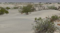 Sand dunes