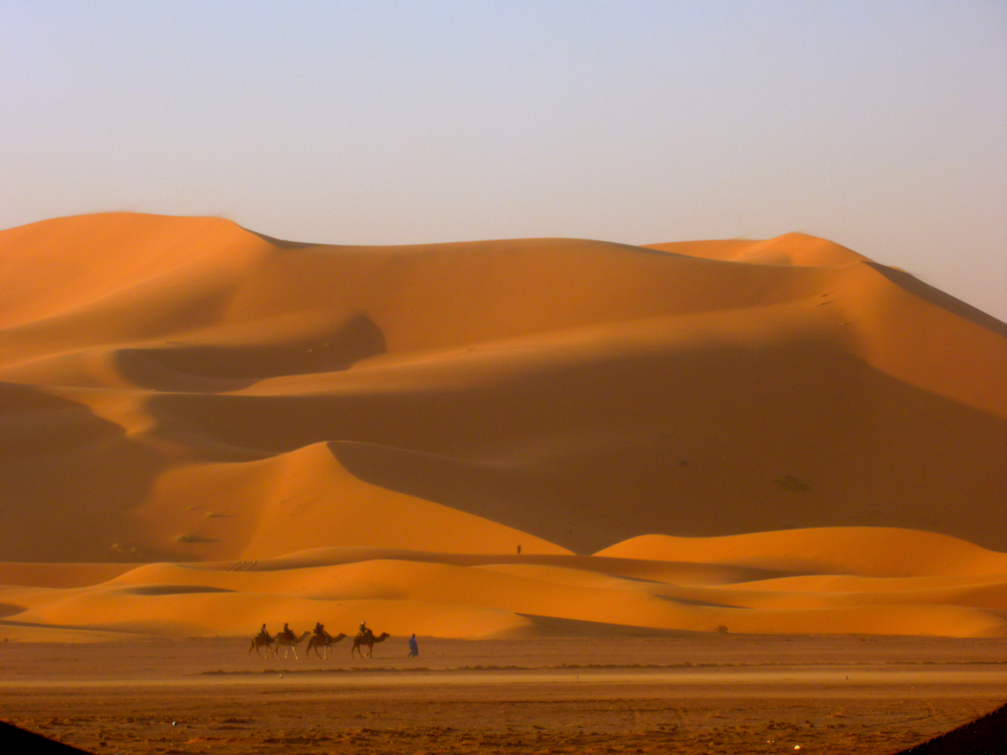 sand dunes