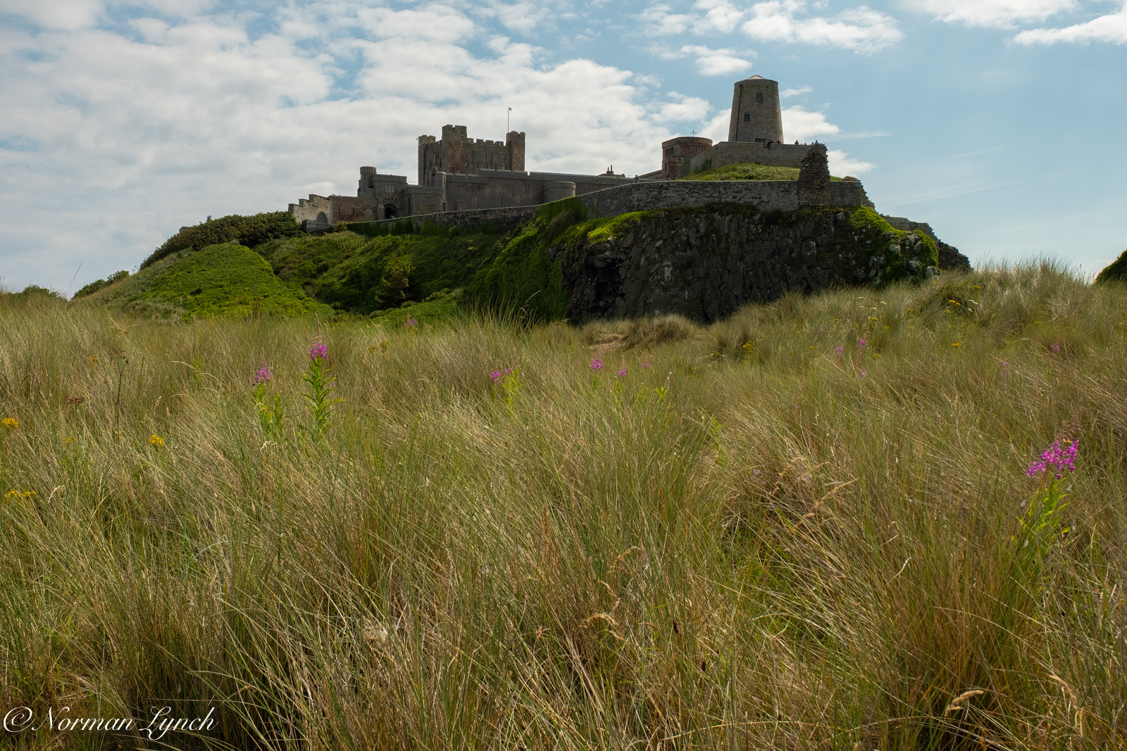 Sand dunes and Bamburgh Castle