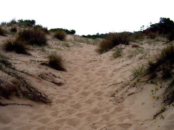 Sand dunes