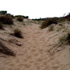 Sand dunes