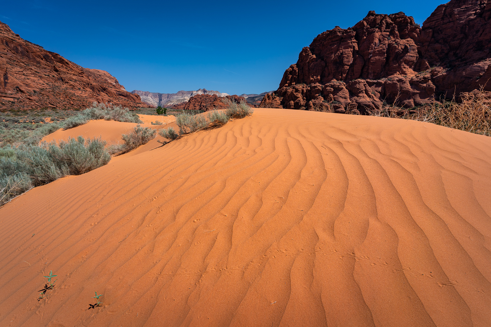 Sand Dunes