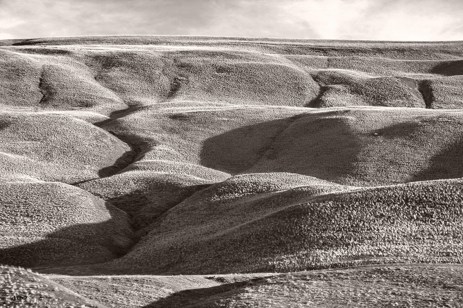 Sand-Dunes