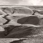 Sand-Dunes