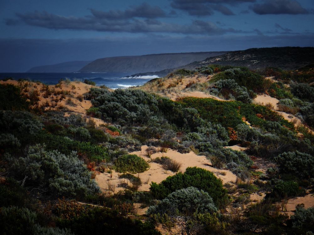 Sand Dunes