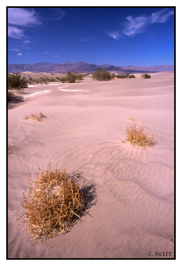 Sand Dunes im Death Valley