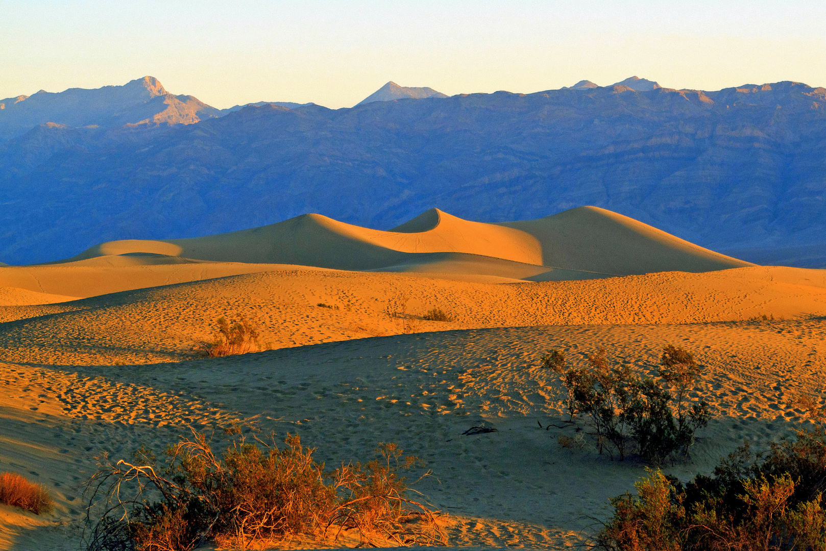 Sand Dunes im Morgenlicht