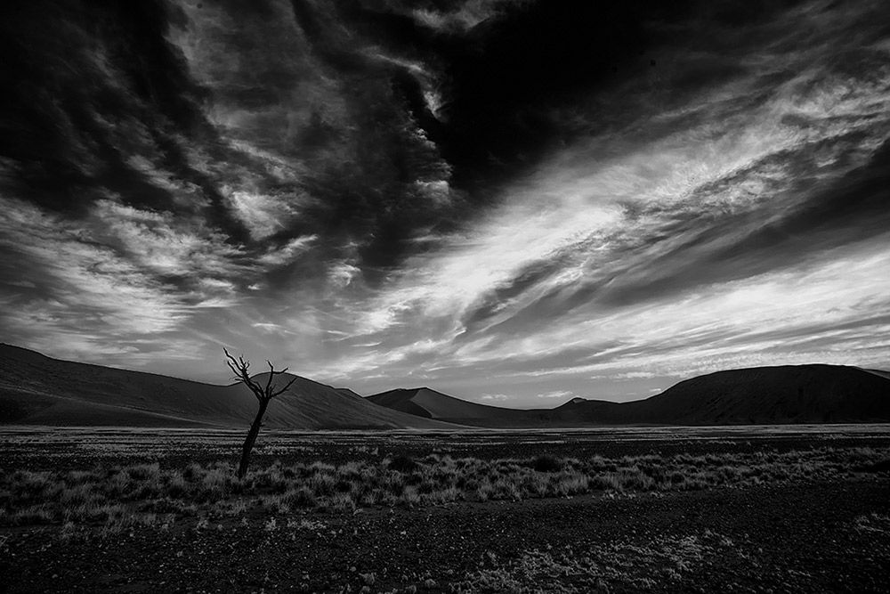 Sand Dunes in the Namib Desert