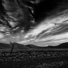 Sand Dunes in the Namib Desert