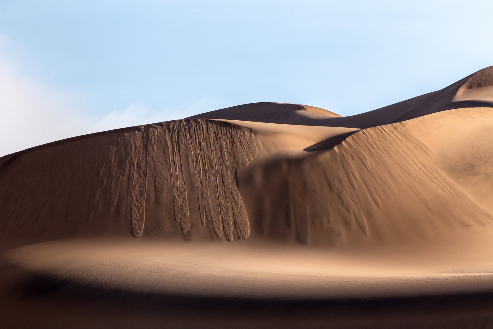 Sand Dunes of the Namib Desert (Swakopmund)