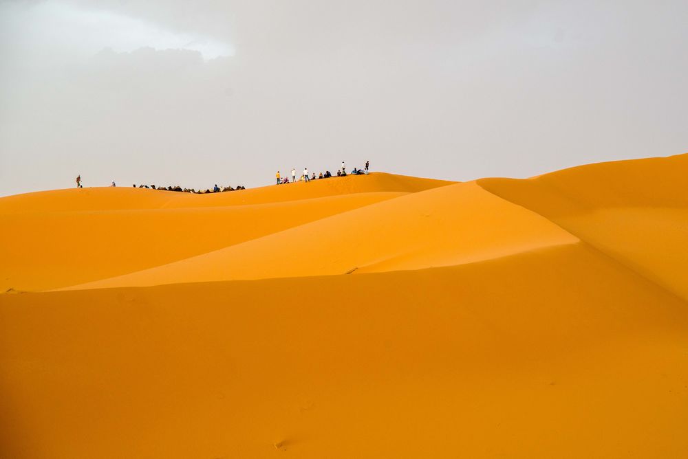 Sand dunes of the Sahara with camels and tourists