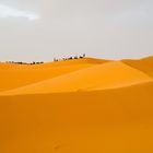 Sand dunes of the Sahara with camels and tourists
