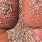 SAND