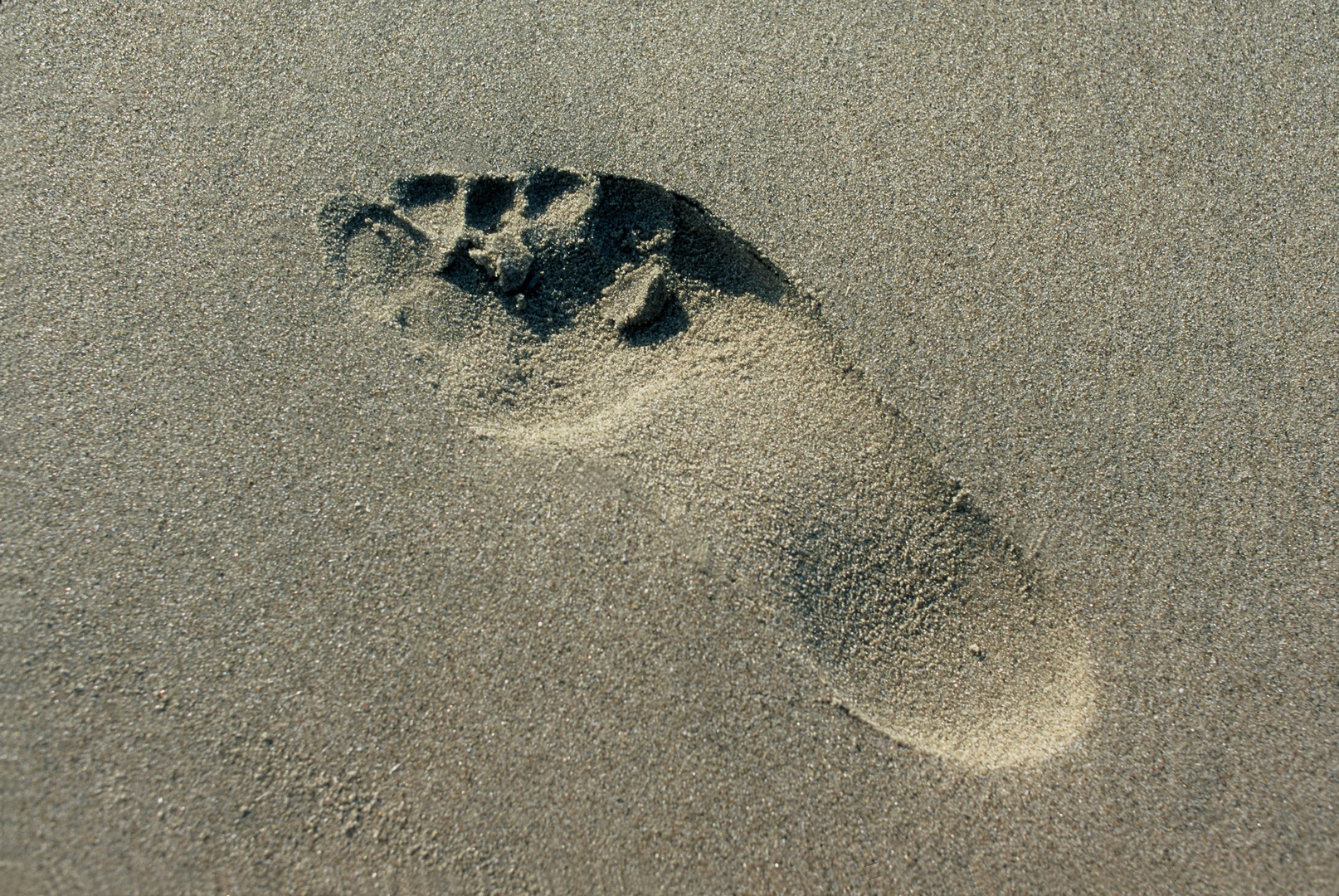 Sand Foot