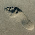 Sand Foot