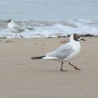 sand footprints