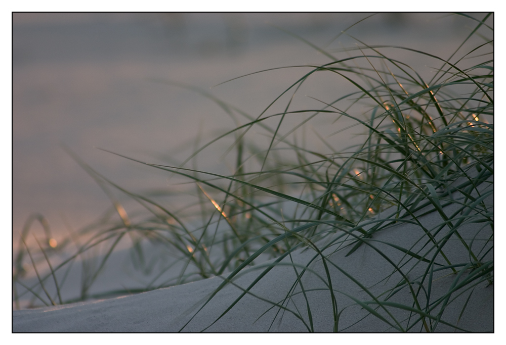 Sand, Gras und Sonne