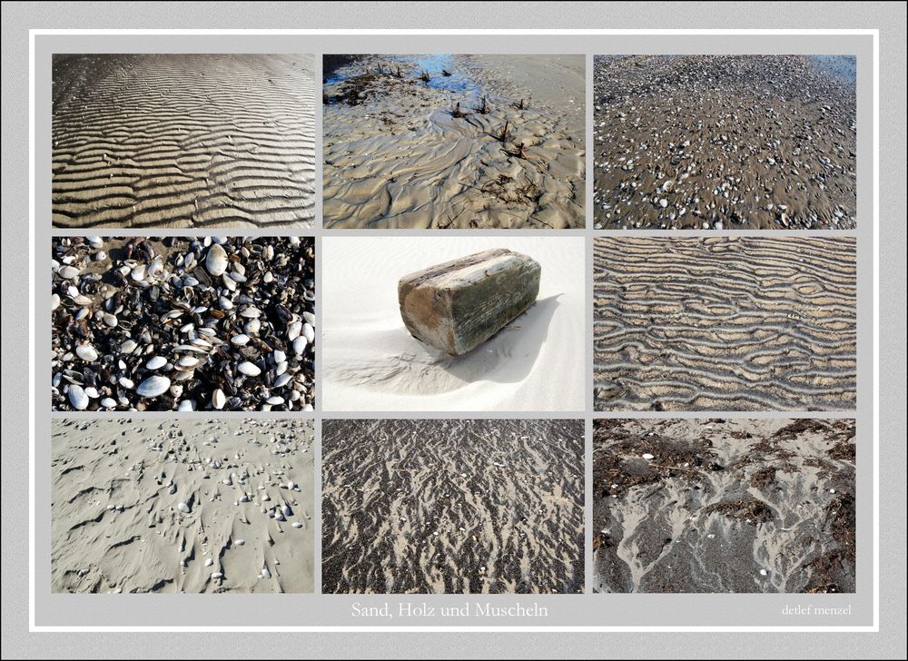 Sand, Holz und Muscheln