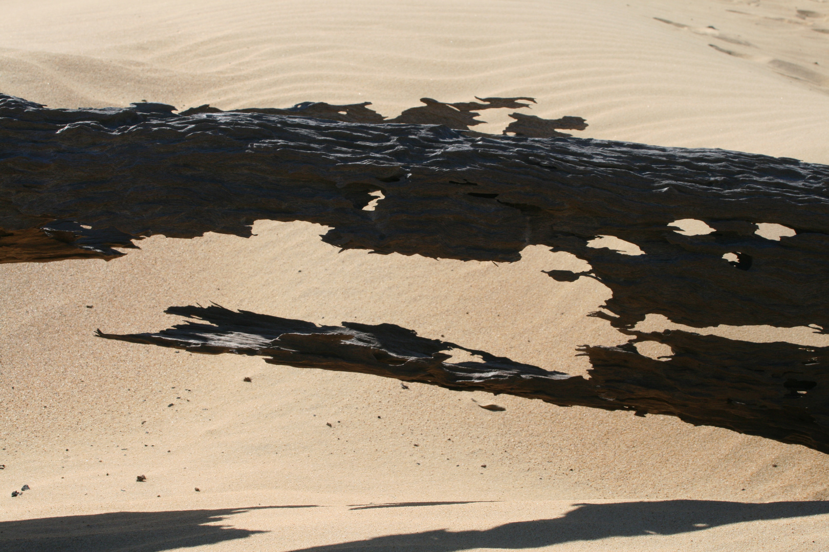 Sand Holz Wind