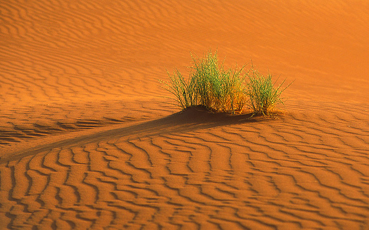 Sand im Bild (mit Gras)