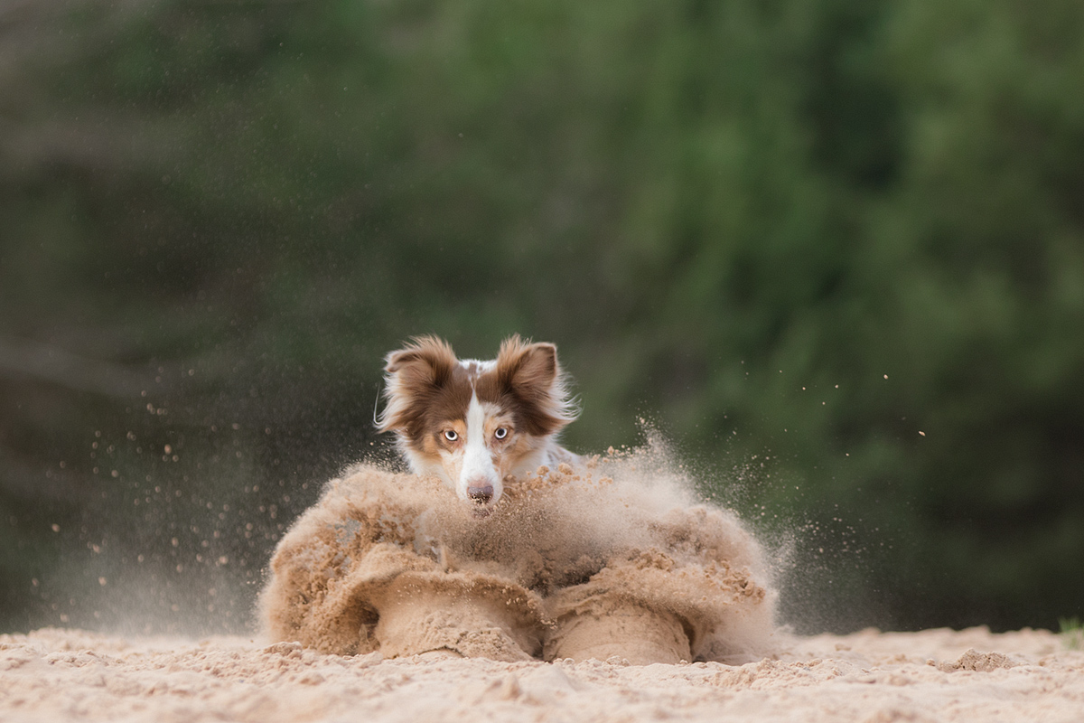 Sand im Getriebe