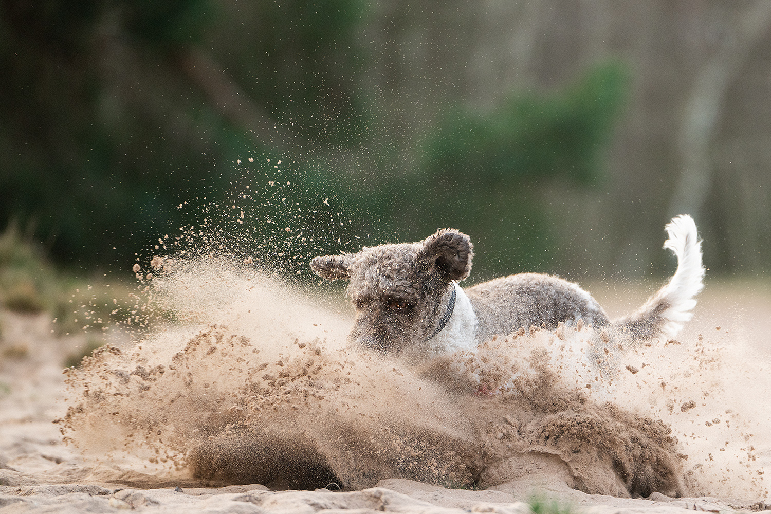 Sand im Getriebe