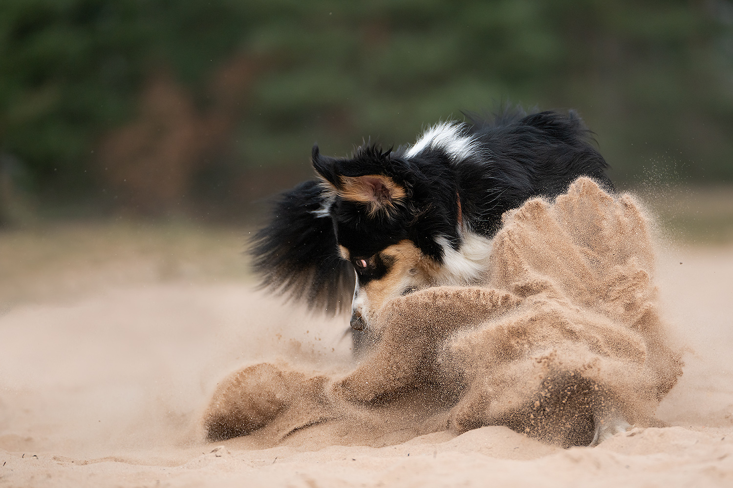 Sand im Getriebe?