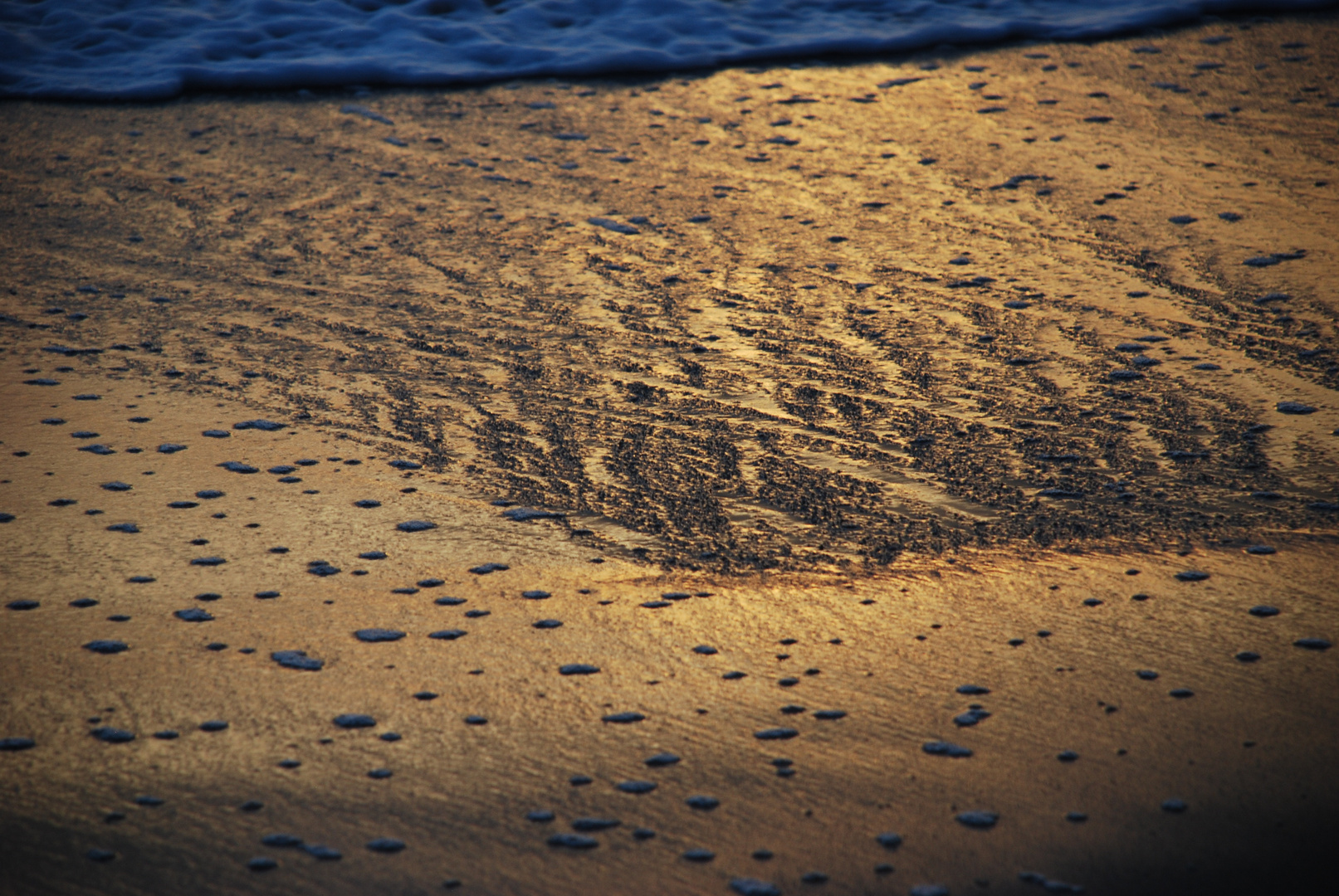 Sand im Sonnenuntergang