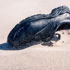 Sand in den Schuhen aus Hawaii