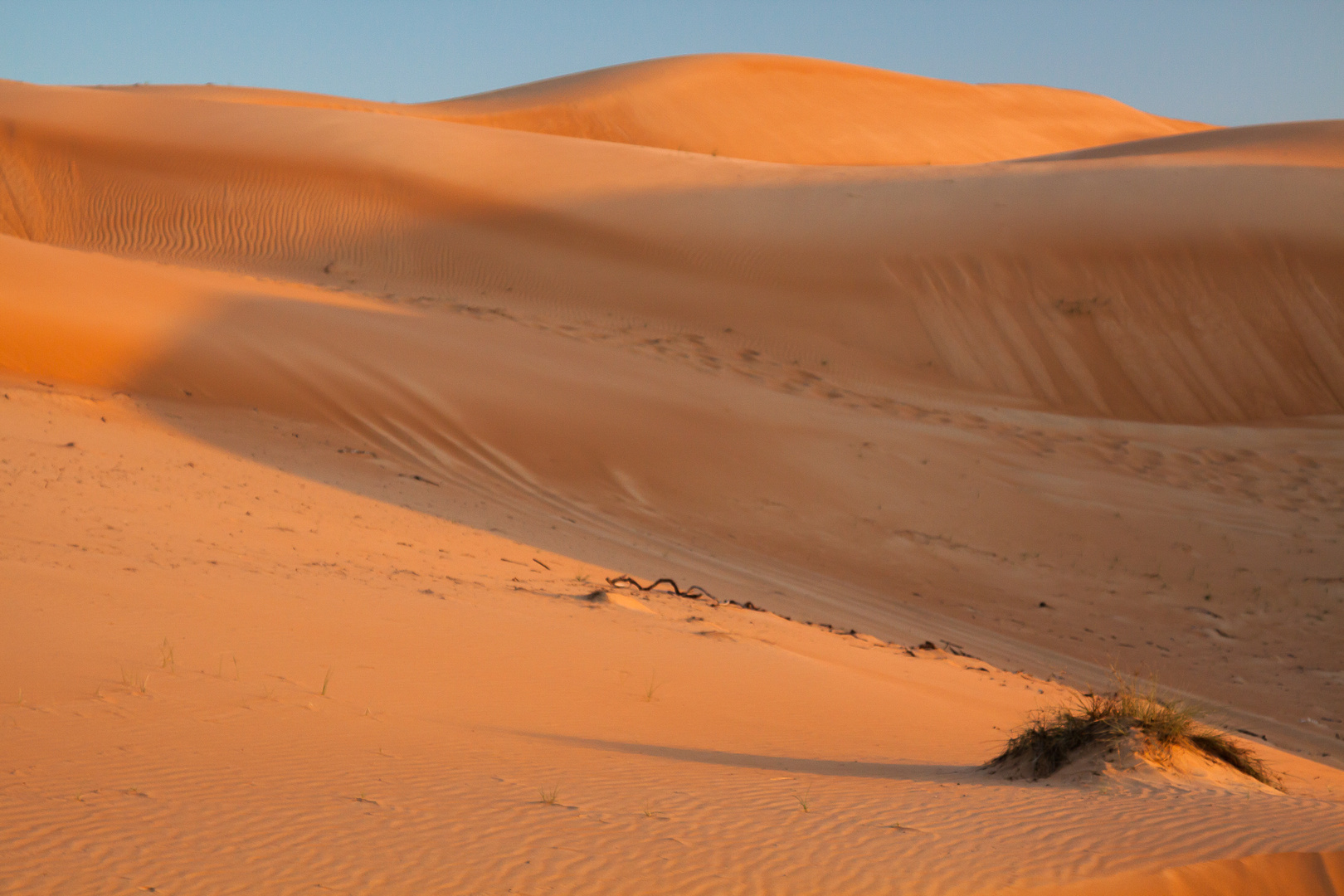 sand in orange