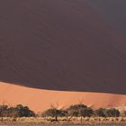 Sand in seiner Schönheit