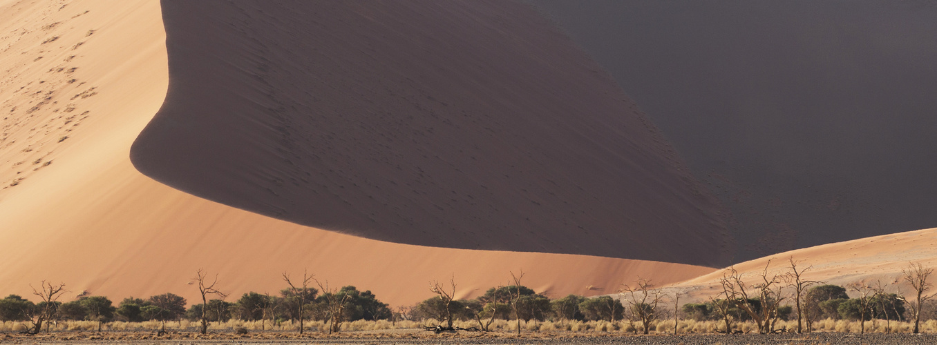 Sand in seiner Schönheit