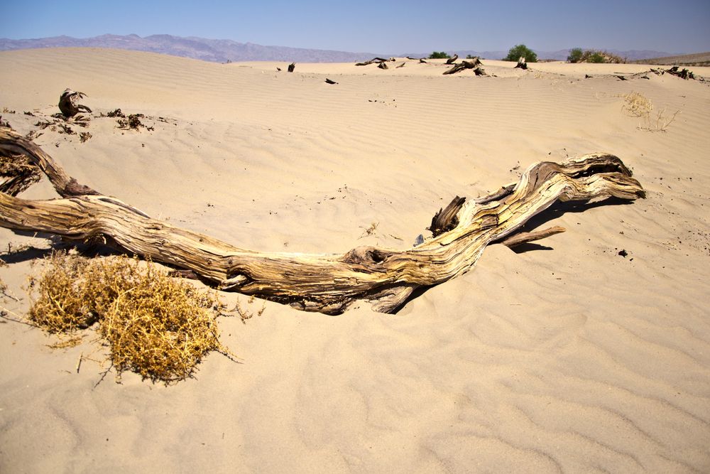 Sand, nichts als Sand